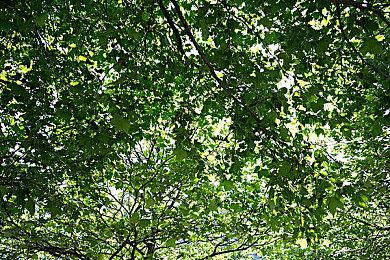 全平台《无人深空》即将推出Adrift大型更新